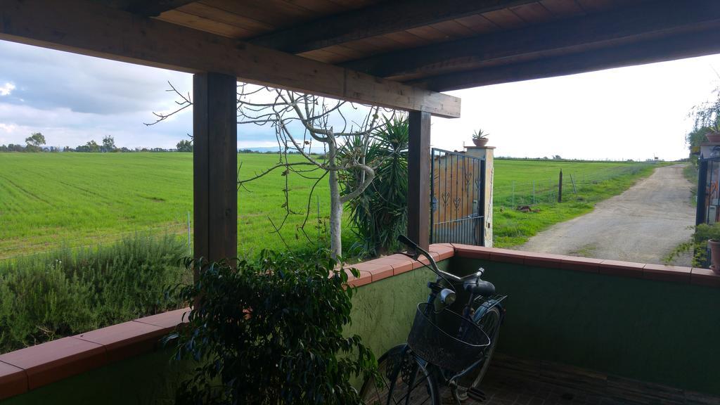 Appartamento Il Salice Casa Minnina ภายนอก รูปภาพ